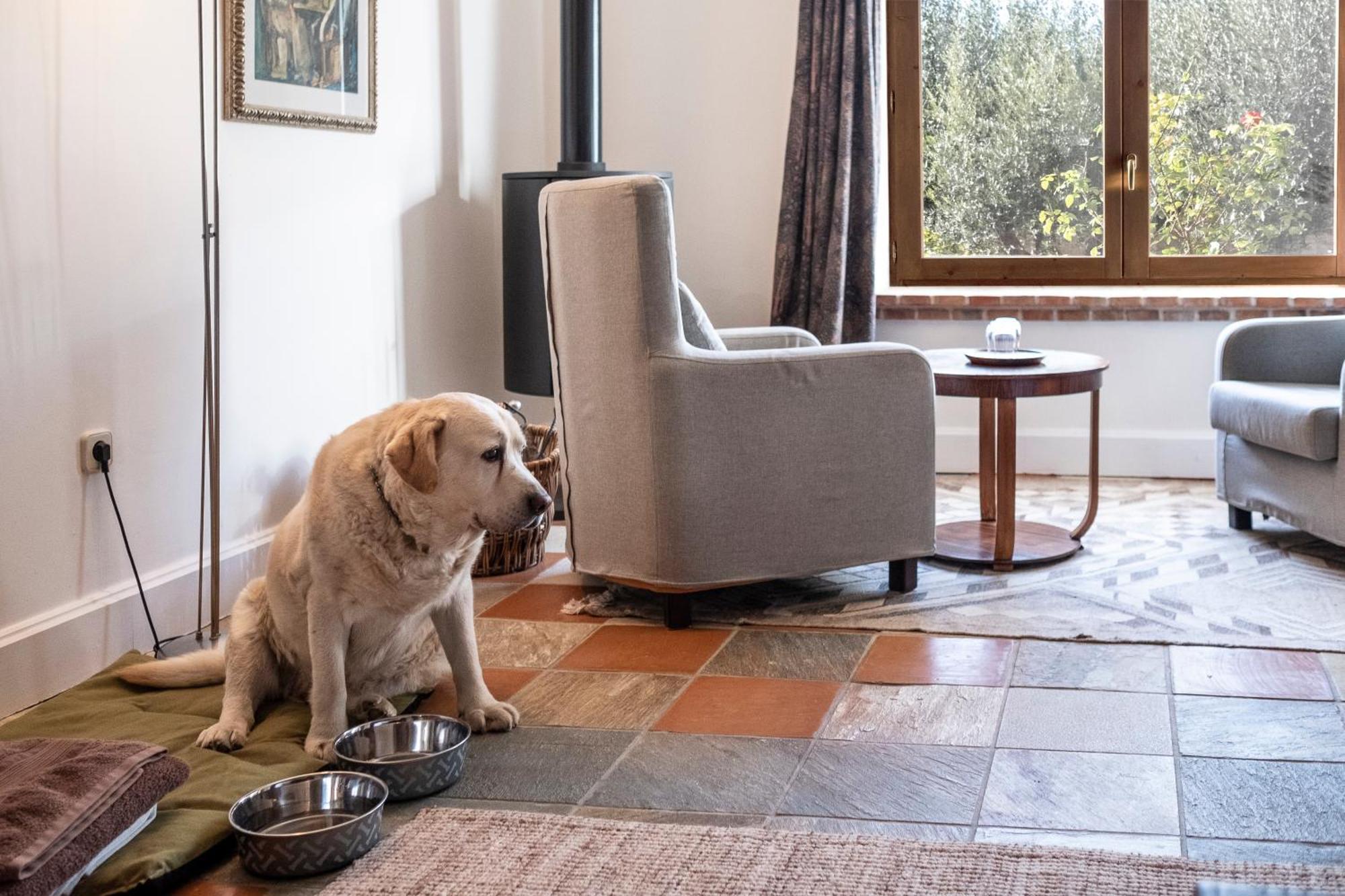 La Torre Del Visco - Relais & Chateaux Fuentespalda Eksteriør billede